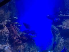 -鄂尔多斯野生动物园