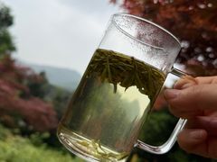 -十八棵（老龙井）御茶园(老龙井店)
