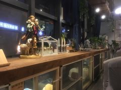 -吉丁鸟咖·异宠·寄养