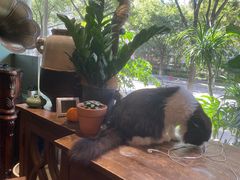 -花到家(富贵鸟花艺行)