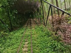 -合肥滨湖国家森林公园