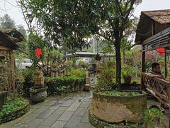 -青城甲(青城山店)