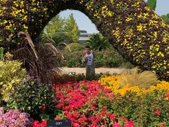 -杭州城北体育公园