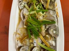 -小猫钓鱼海钓俱乐部(椰梦长廊店)