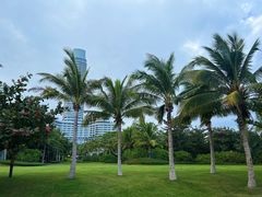 -瑰丽酒店·海吧·天际下午茶·现场DJ·天台酒吧