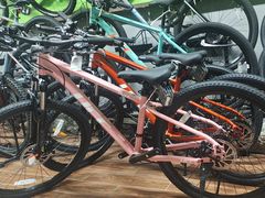 -道路口单车爱瓦士dahon大行