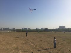 -汉长安城未央宫国家考古遗址公园