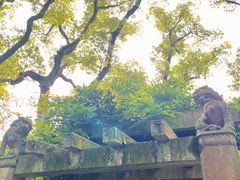 -天一阁博物院