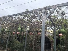 -姥家大锅台水库渔家