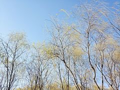 -东郊湿地公园