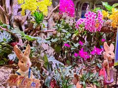 -正佳雨林生态植物园