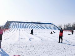 -绿野森林乐园冰雪季