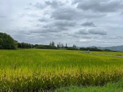-良渚古城遗址公园