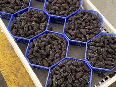 -西郊国际农产品交易中心