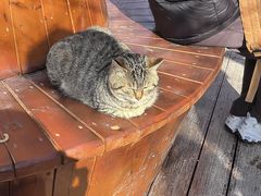 -终南山南五台景区