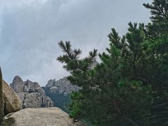-崂山仰口游览区