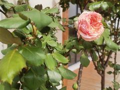 -BUND·FIVE外滩5号(天际店)