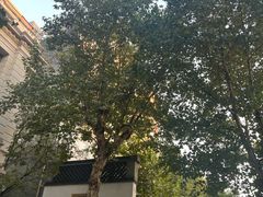 -凤凰寺