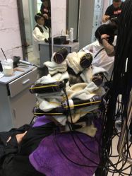 -SIX Hair Consultant