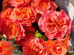 -三旗百汇商品城