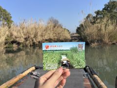 -沙家浜风景区