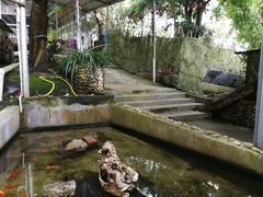 -洞背山庄(洞背院区式管理小区店)