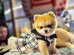 -福田卓悦INTOWN购物中心