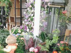 -FEI FEI FLOWER鲜花店·气球派对·宝宝宴布置(虹口德必运动Loft店)