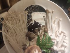 -洪氏嗨捞·猪肚鸡火锅(阳光天地店)