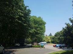 -上海佘山世茂艾美酒店