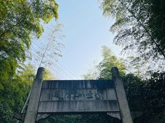 -紫金山山顶公园