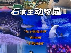 -石家庄市动物园