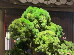 -重庆德庄火锅(映月湖环宇城店)
