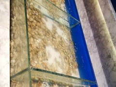 -火锅岛潮牌自助餐厅(天津天佑城店)