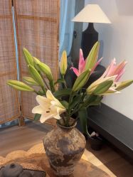 -花隐瑜伽·普拉提·红绳