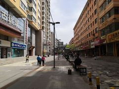 -德禄酸奶(莫家街店)