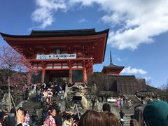 -有栖山 清光院 清水寺