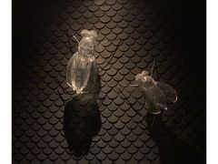 -郑州建业艾美酒店-曙餐厅
