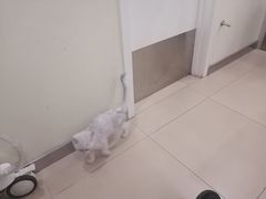 -美迦爱-牙专科·兔科·骨科诊疗中心(北苑店)