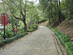 -灵栖洞天