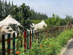 -前小桔亲子创意农场·草莓采摘·露营烧烤