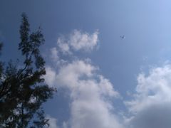 -宝安西湾红树林湿地公园