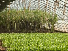 -万源龙顺度假庄园生态观光园