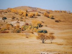 -塞罕坝国家级自然保护区