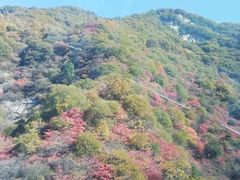 -少华山国家森林公园
