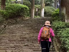 -莫干山风景区