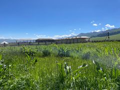 -新疆那拉提国家旅游度假区