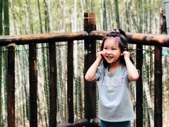 -陶祖圣境风景区