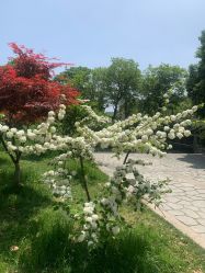 点击看大图 -玄武湖景区-情侣园游乐场