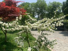 -玄武湖景区-情侣园游乐场